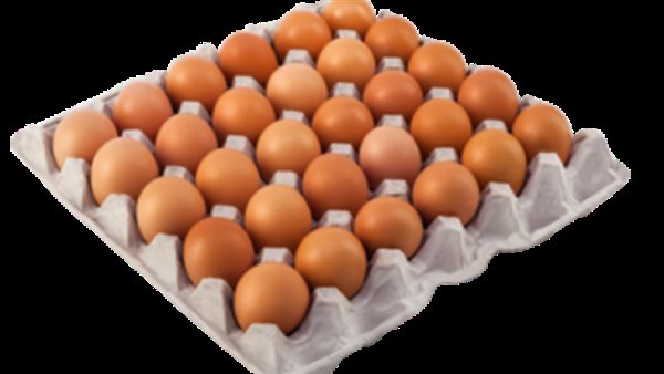 أسعار البيض
