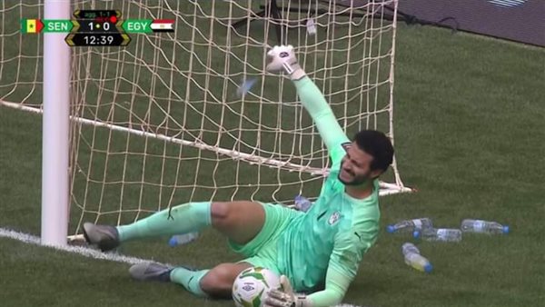 محمد الشناوي