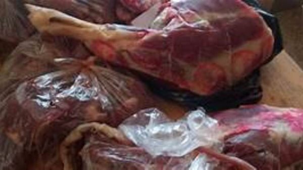 ضبط ٢٣١ اسطوانة غاز