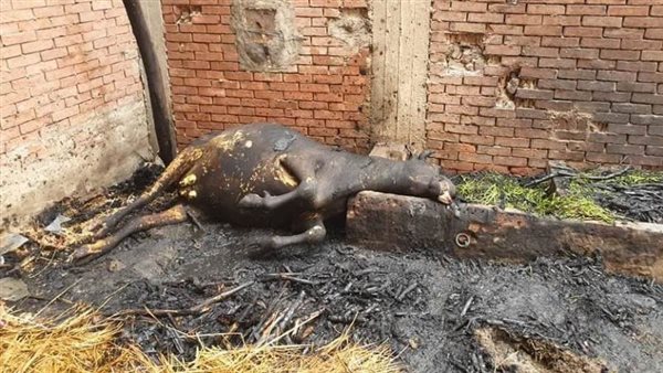 السيطرة على حريق