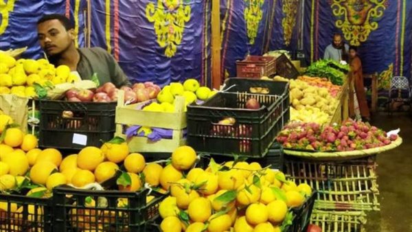 محافظ البحيره يشدد