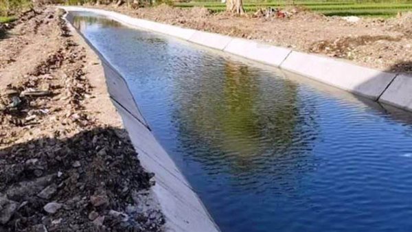 زراعة المنوفية :