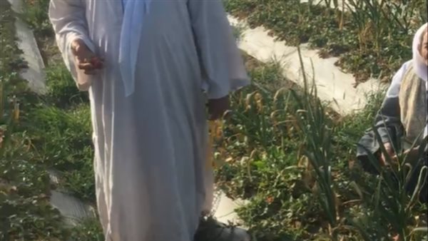 رجل الفراولة..أشهر