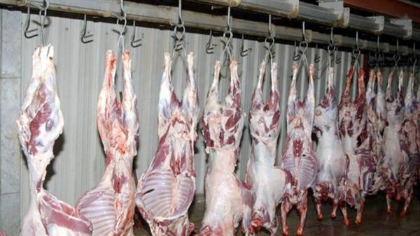 تحرير 4 محاضر ذبح