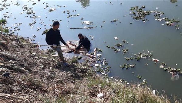 جريمة بشعة في نهار