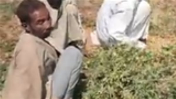 معاناة 3 أشقاء فقدوا