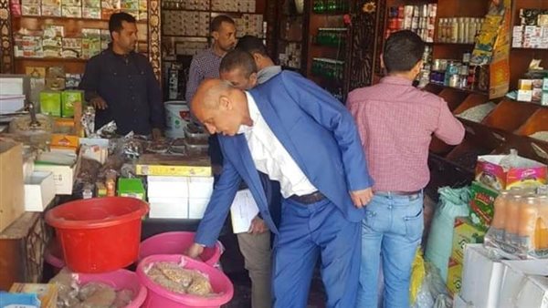 رئيس مدينة سمسطا