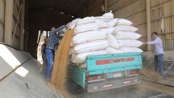 ضبط تجار غلال يقومون