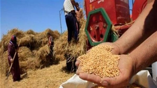 محافظ أسيوط: استقبال