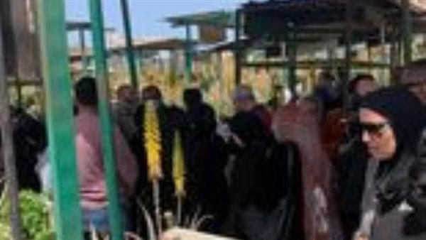 انهيار سمية الخشاب