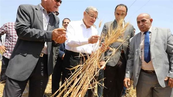 محافظ المنيا يشهد