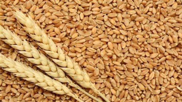 محافظ قنا يتابع بدء