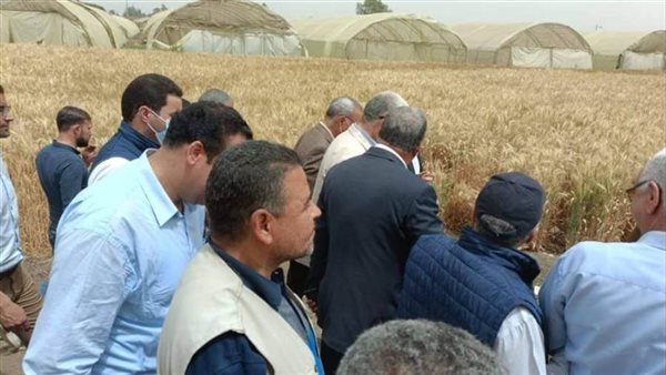 وزير الزراعة: صوامع