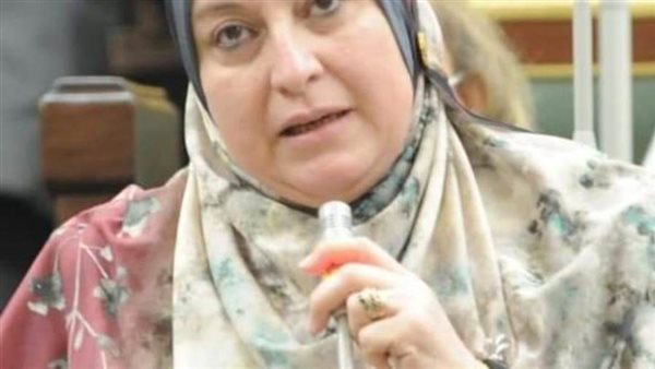 النائبة حنان حسني