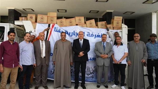 محافظ قنا يتابع وصول