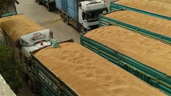 توريد القمح