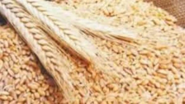 توريد 59 ألف طن من