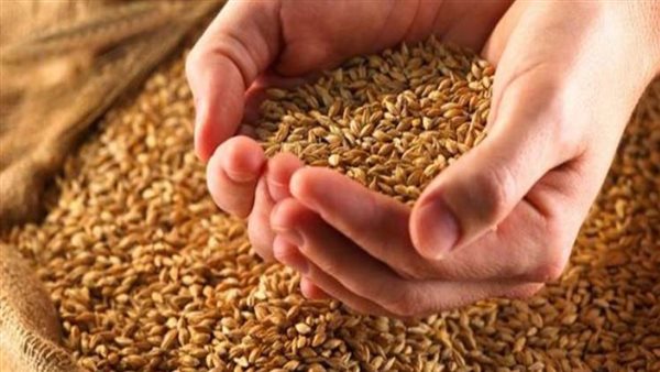 شون وصوامع المنيا