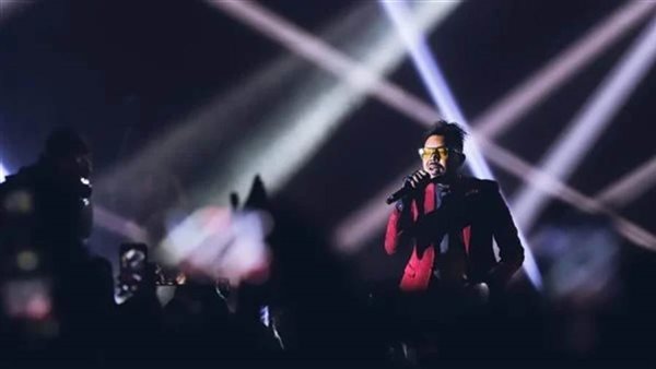 محمود الحسيني