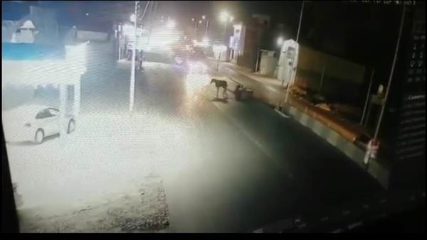 لتفاديه عربة كارو..