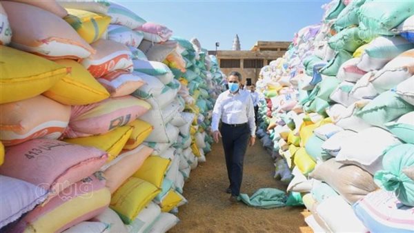 محافظ الغربية يتابع