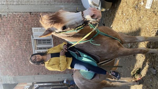 على نغمات الطبل والمزمار..نور