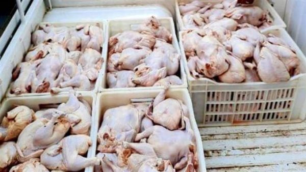 ضبط 6 أطنان دجاج