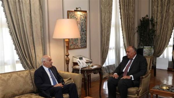 لقاء وزير الخارجية