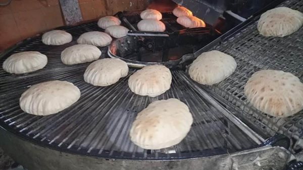 محافظ الدقهلية: يقرر