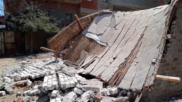 محافظ الدقهلية: استمرار