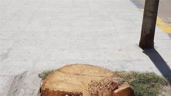 محافظة الإسكندرية