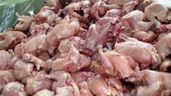 ضبط لحوم دواجن فاسدة