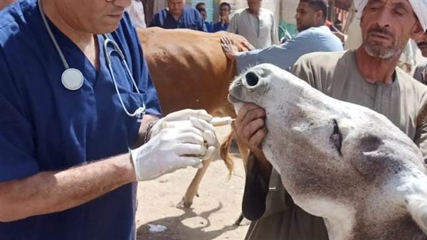 فحص ومناظرة 3502