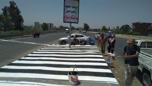 محافظ الدقهلية يكلف