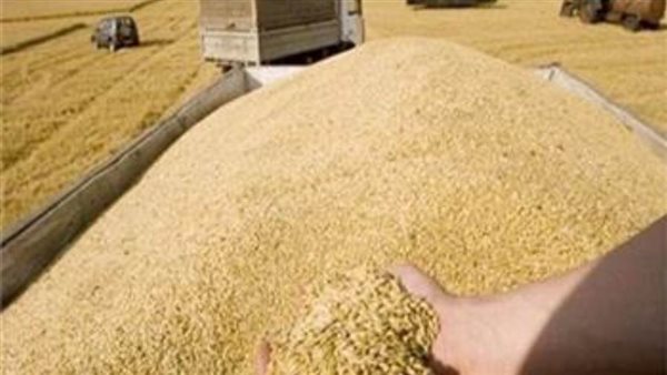 الشرقية تتصدر محافظات