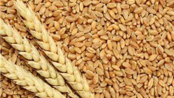 تموين الدقهلية: ضبط