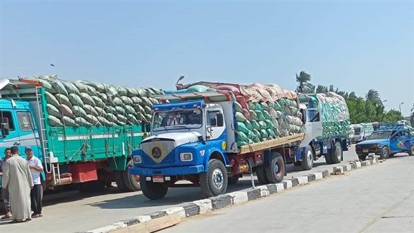 استلام 198 ألف طنا