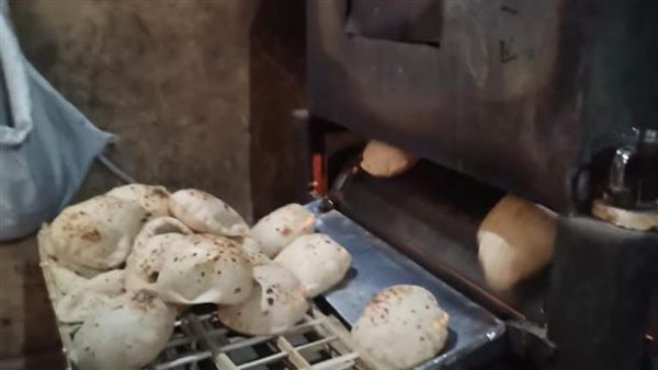 محافظ الدقهلية: إحالة