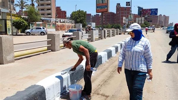 محافظ الدقهلية يكلف