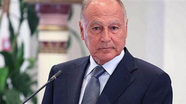 أبو الغيط: المجتمع