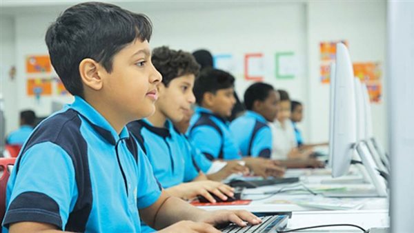 السفير الياباني بالقاهرة: