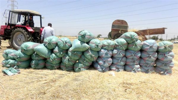 توريد 226 ألف طن