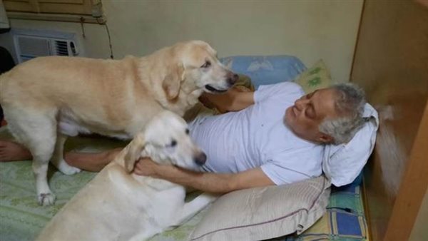 توفيق عبد الحميد