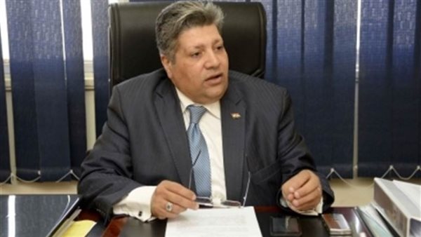 التنمية المحلية: