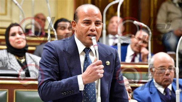 النائب عمرو القطامى