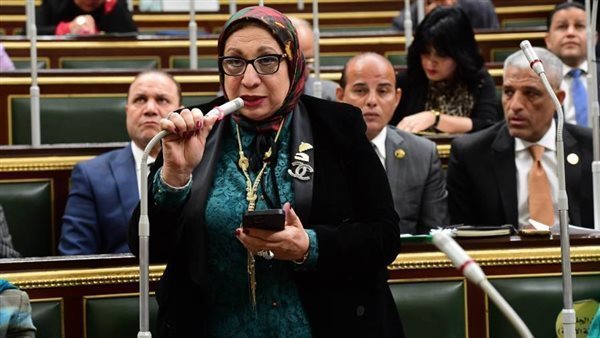  النائبة إيناس عبد