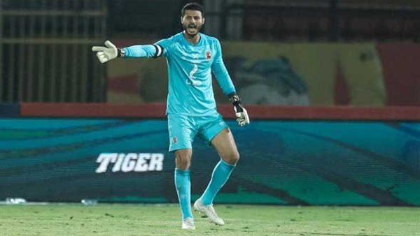 محمد الشناوي