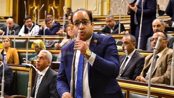 النائب عمرو رشدي