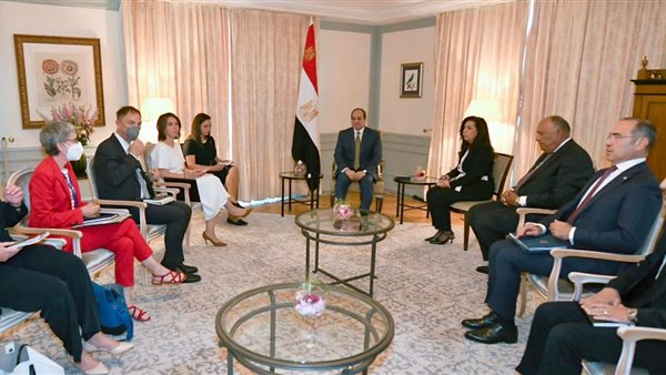 الرئيس السيسي