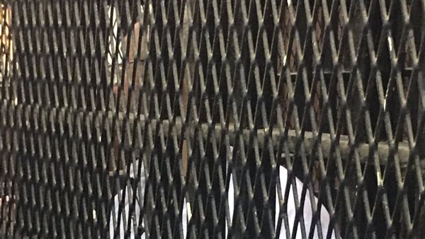 المتهم داخل القفص